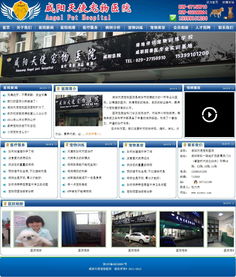 咸陽天使寵物醫院攜手萬企互聯 專業數字營銷與動漫設計賦能品牌新生態